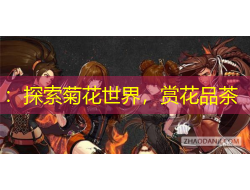 ：探索菊花世界，賞花品茶